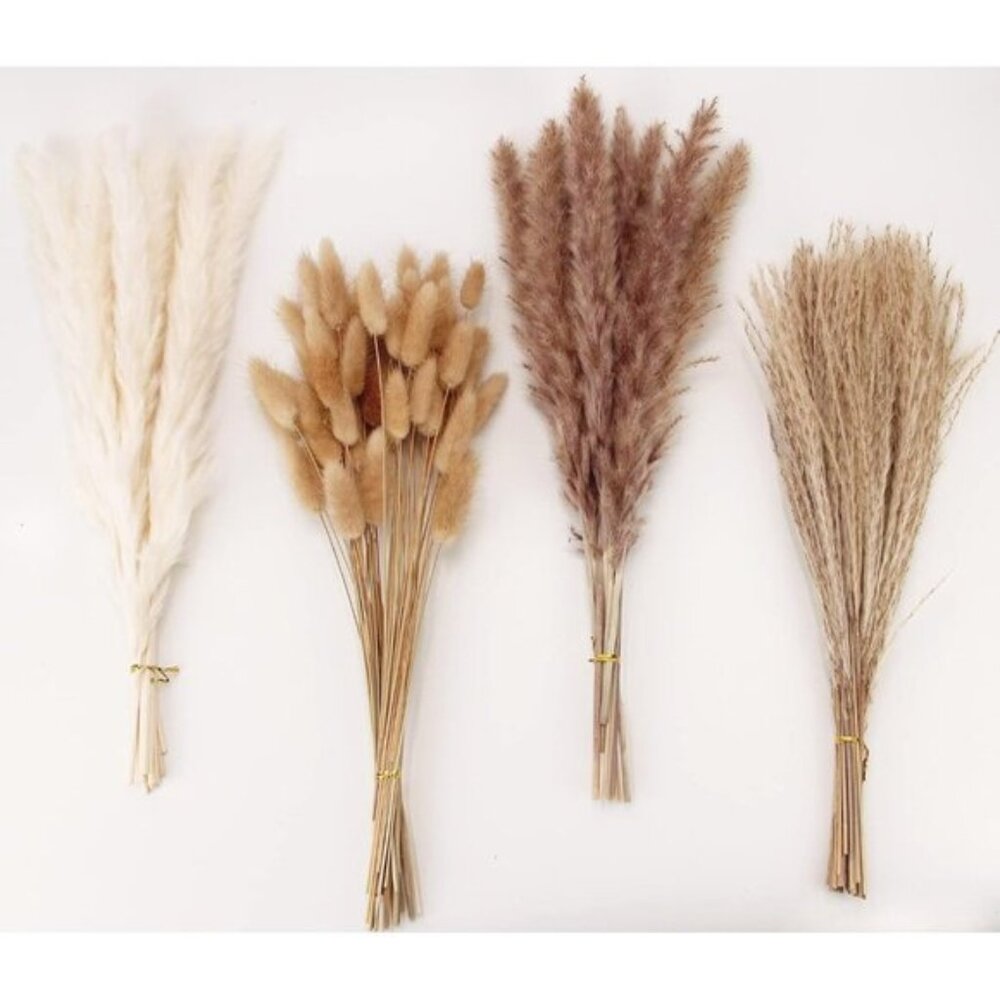 New Dried Pampas Grass Decor, 100 Stems with Bunny Tails for Home Decoration